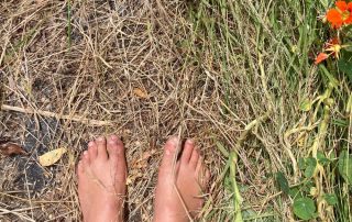 Photo of the camera's view of a person looking down at their feet while standing in a field of dried grass