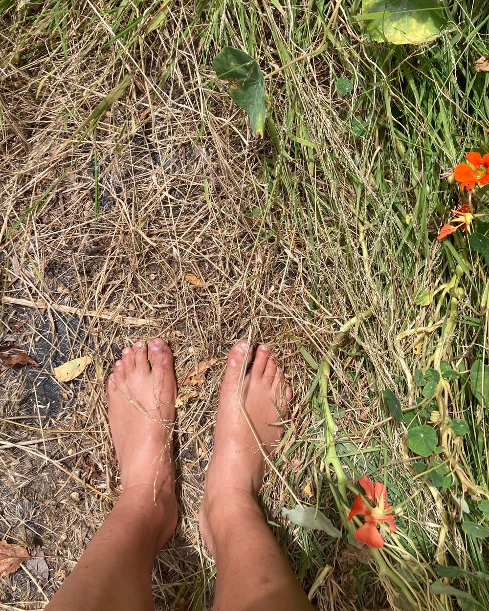 Photo of the camera's view of a person looking down at their feet while standing in a field of dried grass