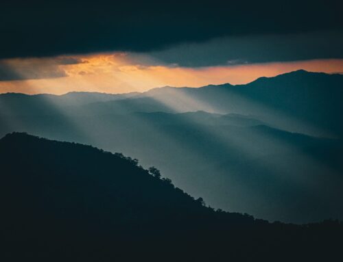 What if You Don’t Always Need to Calm Down?